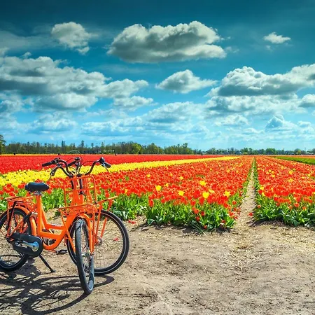 Apartament Kerkplein 7a